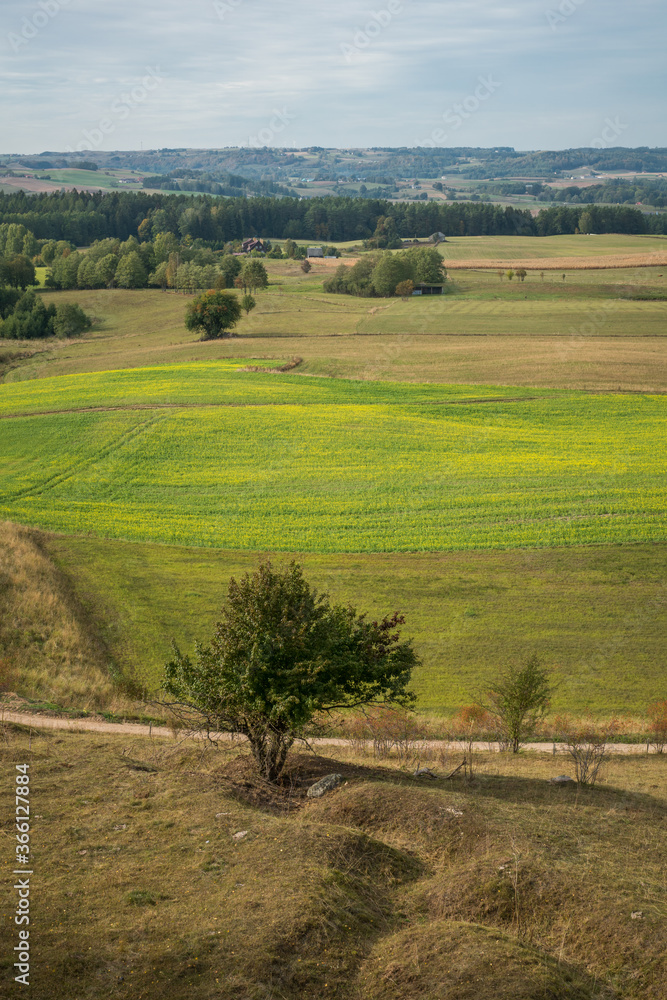 View of the fields (typical landscape near Suwalki) from the observation tower in Baranowo, Podlaskie, Poland