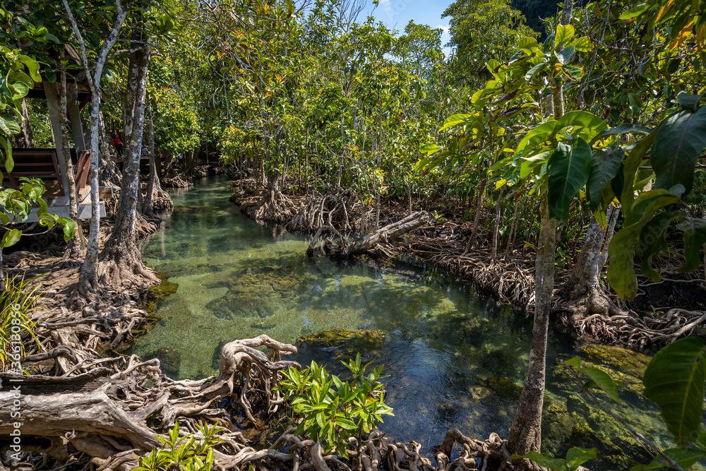 Tha Pom Klong Song Nam National Park, Krabi Province Tha Pom Klong Song Nam National Park, Krabi Province