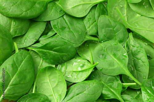 spinach leaves background. spinach texture. Healthy food.
