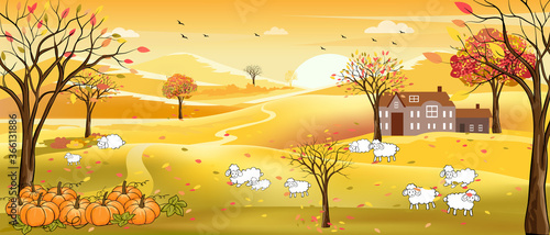 Vector illustration of panorama autumn landscape in english countryside with forest trees and leaves falling,Panoramic of farm field with family of lambs on hills in fall season with yellow foliage.