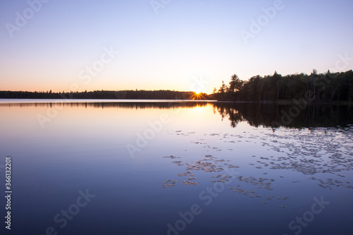 Colorful lake sunset landscape with tree reflection on water and lily pads and lens flare starburst 