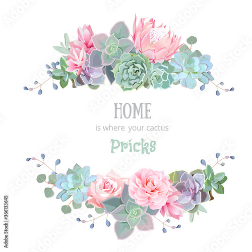 Green colorful succulents vector design round frame. Echeveria, protea, eucaliptus.