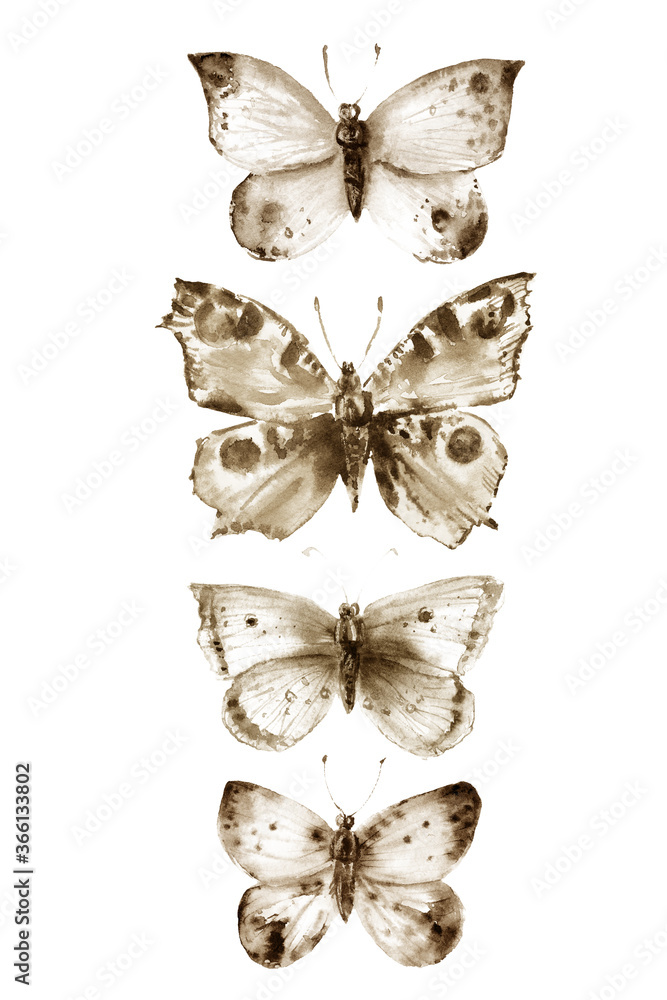Watercolor butterflies and moths set