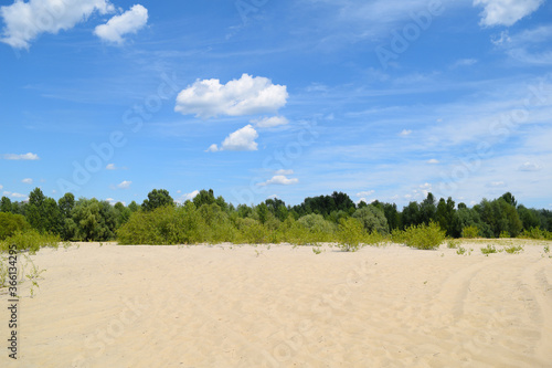 View through the sand to the green forest. Summer landscape © YAROSLOVEPHOTOVIDEO