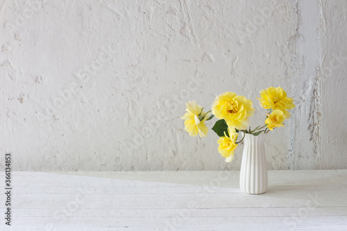 yellow roses in white vase on background white wall