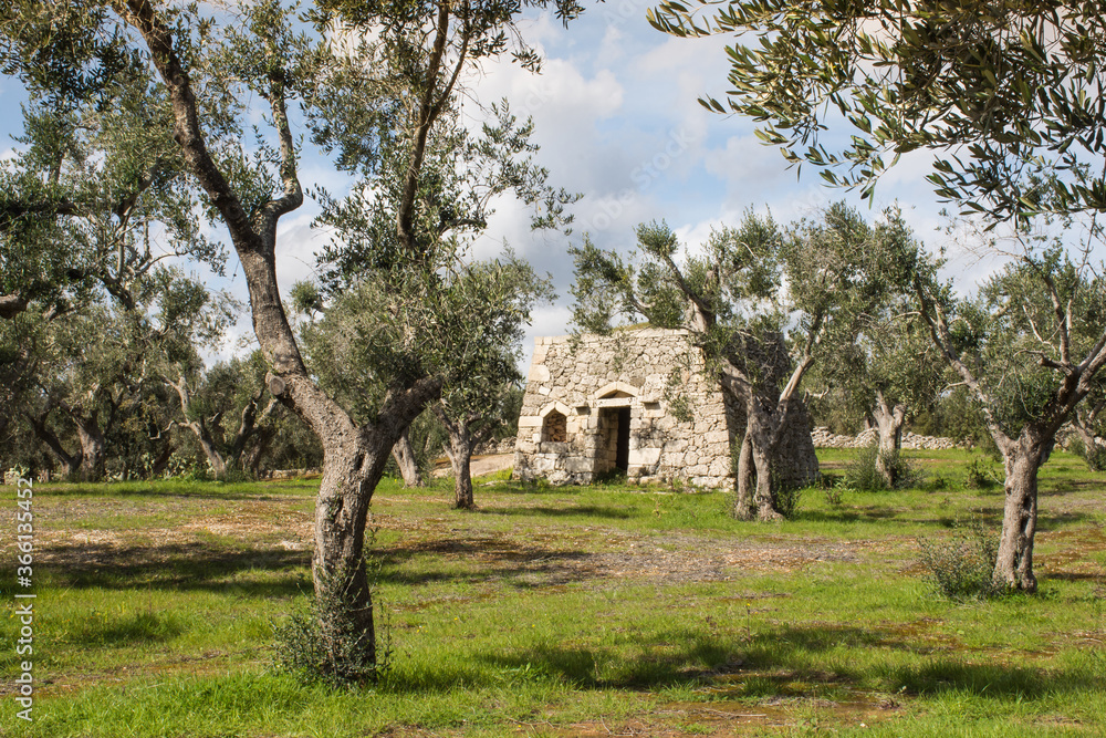 Salento - Paesaggio rurale Salento - Paesaggio rurale