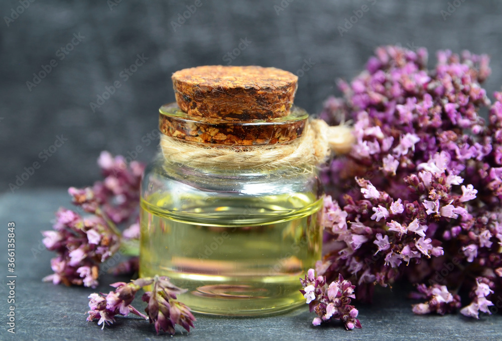Oregano essential oil in a glass bottle with fresh blooming herb twigs on a dark background. Aromatherapy, natural cosmetics,spa or bodycare concept.Selective focus. Oregano essential oil in a glass bottle with fresh blooming herb twigs on a dark background. Aromatherapy, natural cosmetics,spa or bodycare concept.Selective focus.