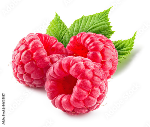 Raspberry isolated. Raspberries with leaves isolate. Raspberry with leaf isolated on white.