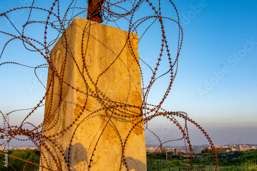 Barb wire fence in a lupin purple flowers meadow in Jerusalem Israel 