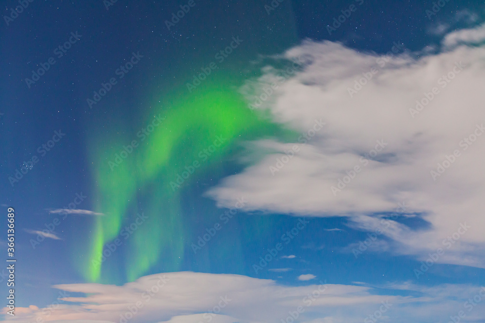 Naklejka premium Northern lights, Myvatn, North Iceland, Iceland, Europe