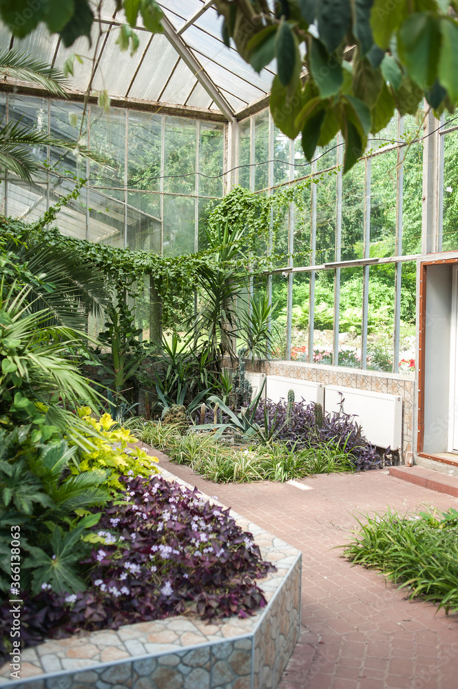 Beautiful old city greenhouse in the park with tropical plants