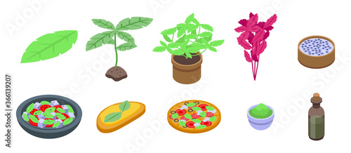Basil icons set. Isometric set of basil vector icons for web design isolated on white background