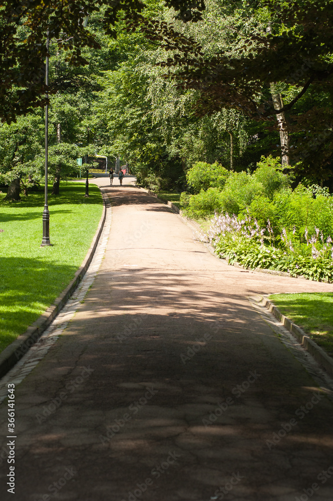 Fototapeta premium Summer city green park for recreation