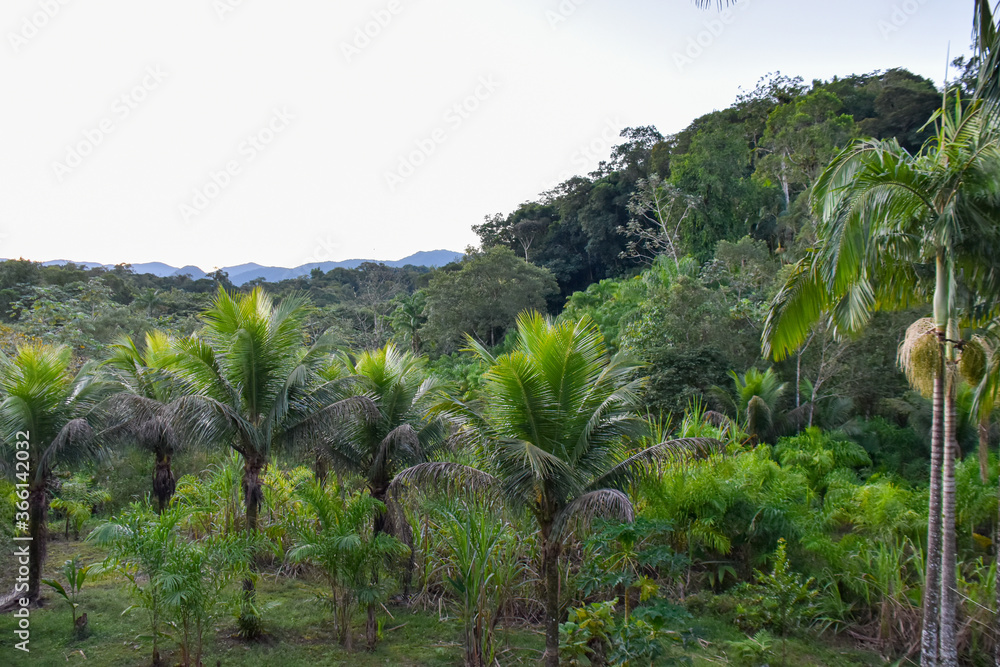 paisagem da reserva e a serra de fundo.