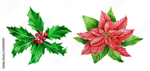 Poinsettia, holly leaves and berries. Watercolor New Year and Christmas decor. Set. Idea for greeting cards, wreaths, invitations, New Year's design, wallpaper, textile, fabric, banner.