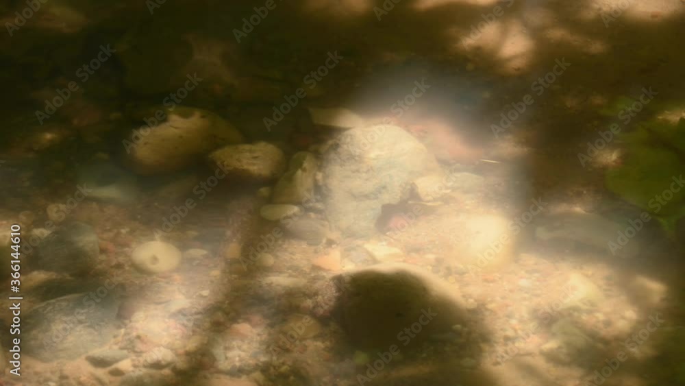 Cross the small mountain river on a mountain bike. The bike rides on the water. Spray from under the bicycle wheels. Shallow river in the rays of the setting sun. Slow motion, close-up, low angle Cross the small mountain river on a mountain bike. The bike rides on the water. Spray from under the bicycle wheels. Shallow river in the rays of the setting sun. Slow motion, close-up, low angle