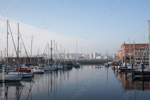 boats in the harbor