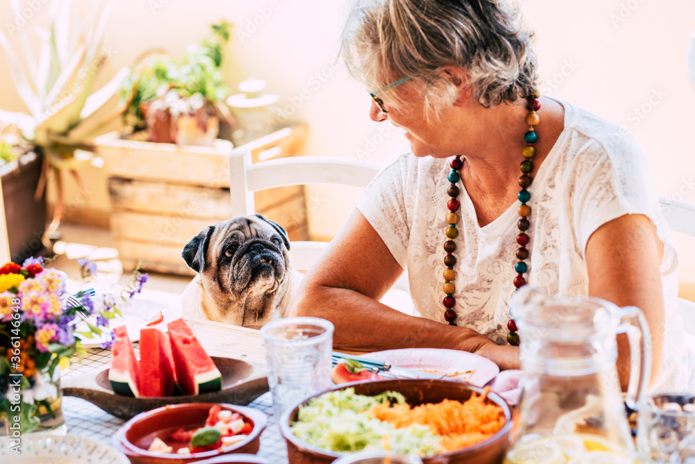 Φωτογραφία Friends concept with human and animal like pet therapy - lovely pug old dog and