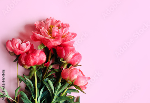 Postcard with lush beautiful peonies. Free space for text.