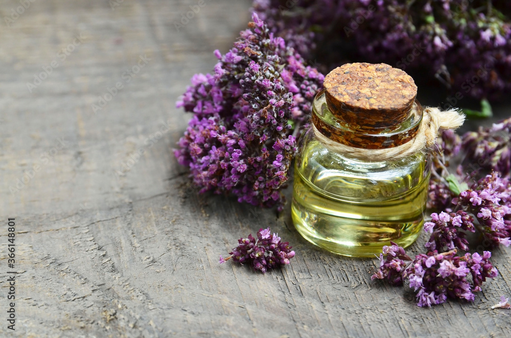 Oregano essential oil in a glass bottle with fresh blooming herb twigs on a wooden background. Aromatherapy, natural cosmetics,spa or bodycare concept.Selective focus. Oregano essential oil in a glass bottle with fresh blooming herb twigs on a wooden background. Aromatherapy, natural cosmetics,spa or bodycare concept.Selective focus.