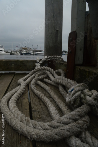 ropes on a dock © Shelby