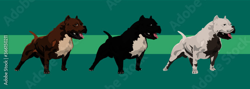 Animais de estimação, Pitbulls, 