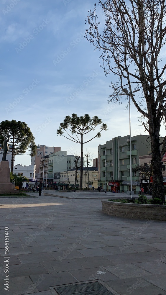 Foto de praça com árvores 

City , cidade, paisagens  , park