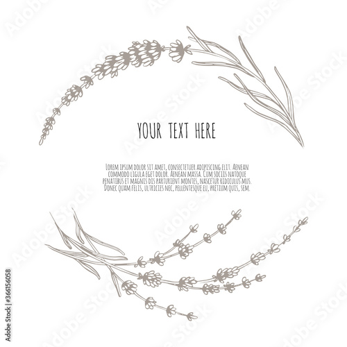 Beautiful vector hand drawn lavender tea herb Illustration. Sketch element for labels, packaging and cards design.