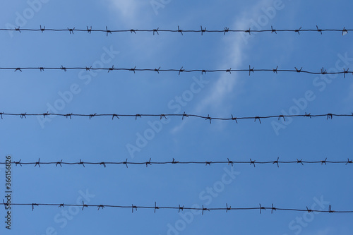 Barbed wire on the background of a blue sky with clouds. Barrier, protection, prison