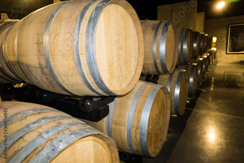 Wine cellar, row of oak barrels for wine