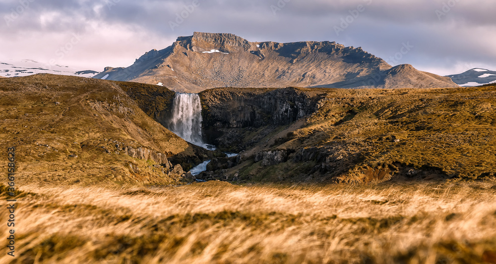 Obraz premium Wonderful nature of Iceland. fresh green grass and icelandic moss near river with waterfall. Typical Icelandic scenery of summer. Picture of wild area. Amazing Icelandic landscape. Natural background