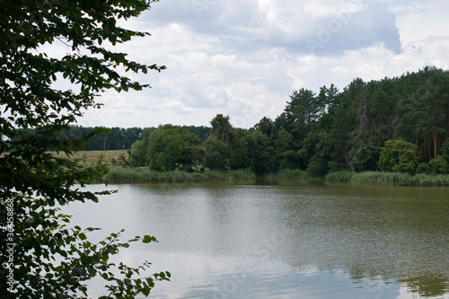 Horizontal summer landscape with a lake.