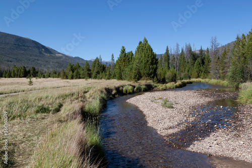 Flowing Stream in the Rocky Mountain National Park