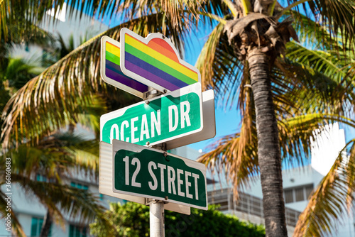 Road signs with rainbow flags against palm trees at ocean drive photo