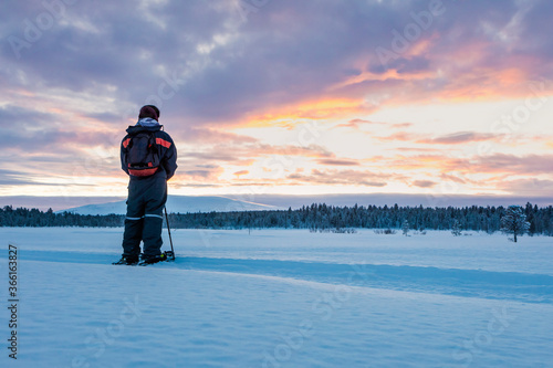 Rear view of snow shoe hiker in winter landscape, Sotkajarvi, Enontekioe, Finland photo