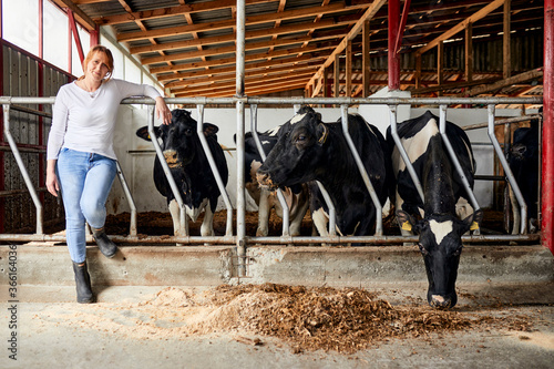 Female farmer standing by cows eating hay in dairy farm