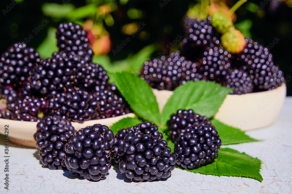 Ripe blackberries with leaves in a cup on an old wooden table. Selective focus. Berry background. Ripe blackberries with leaves in a cup on an old wooden table. Selective focus. Berry background.