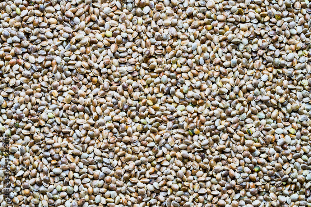 Top view of hemp seeds. Seeds backgound. Top view of hemp seeds. Seeds backgound.