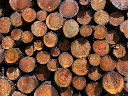 Close up of stacked wood piles