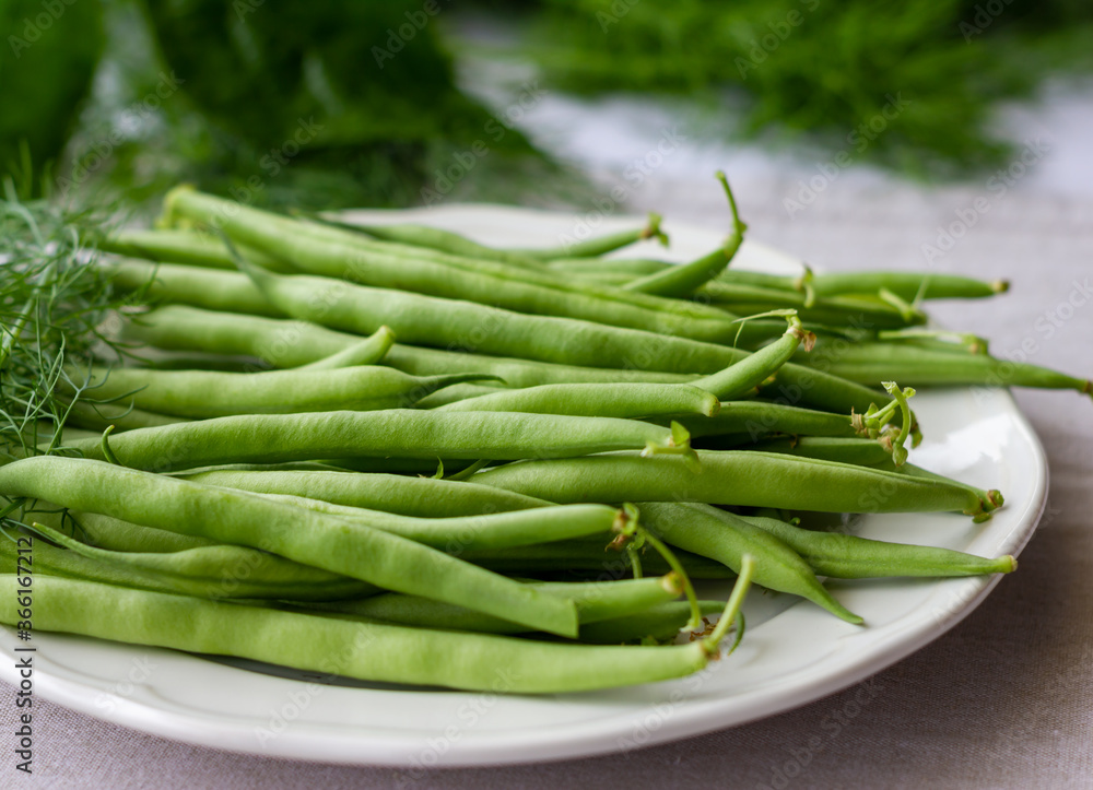 Frische Fisolen unreife bohnen aufgelegt Frische Fisolen unreife bohnen aufgelegt