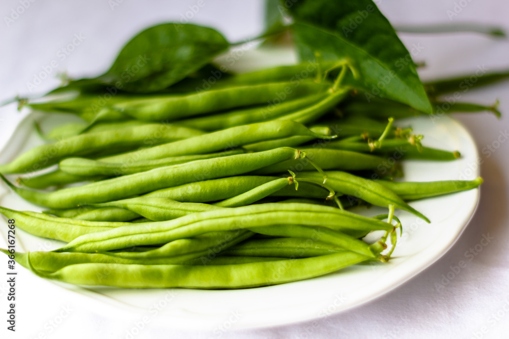 Frische Fisolen unreife bohnen aufgelegt Frische Fisolen unreife bohnen aufgelegt