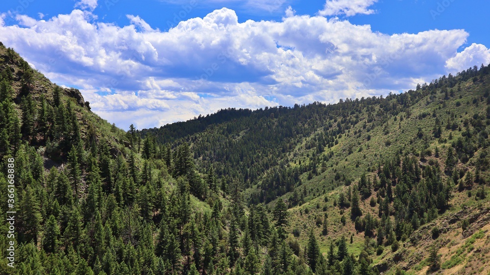 Fototapeta premium Colorado Mountains
