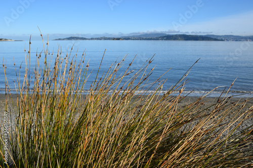 Wellington and Petone Harbour views  Lower Hutt  New Zealand