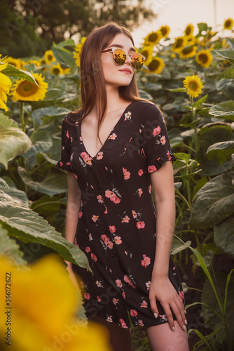 a girl with mirrored glasses on the background of a sunflower field, a portrait of a glamorous girl with a rural landscape