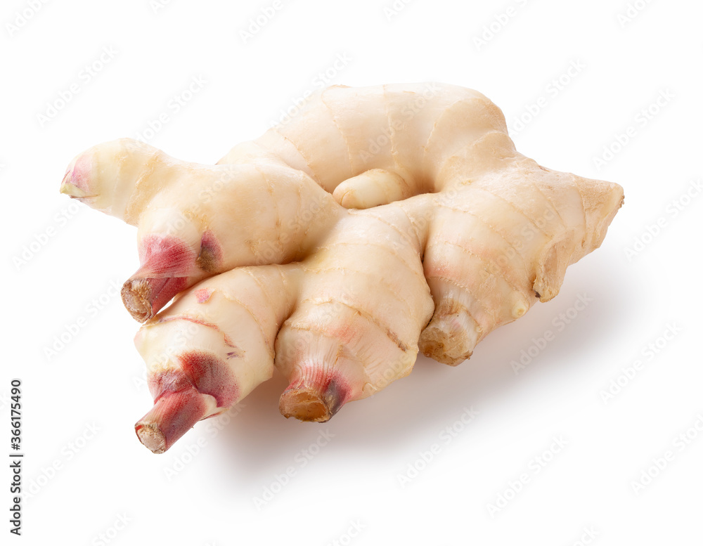 Fresh ginger on a white background Fresh ginger on a white background