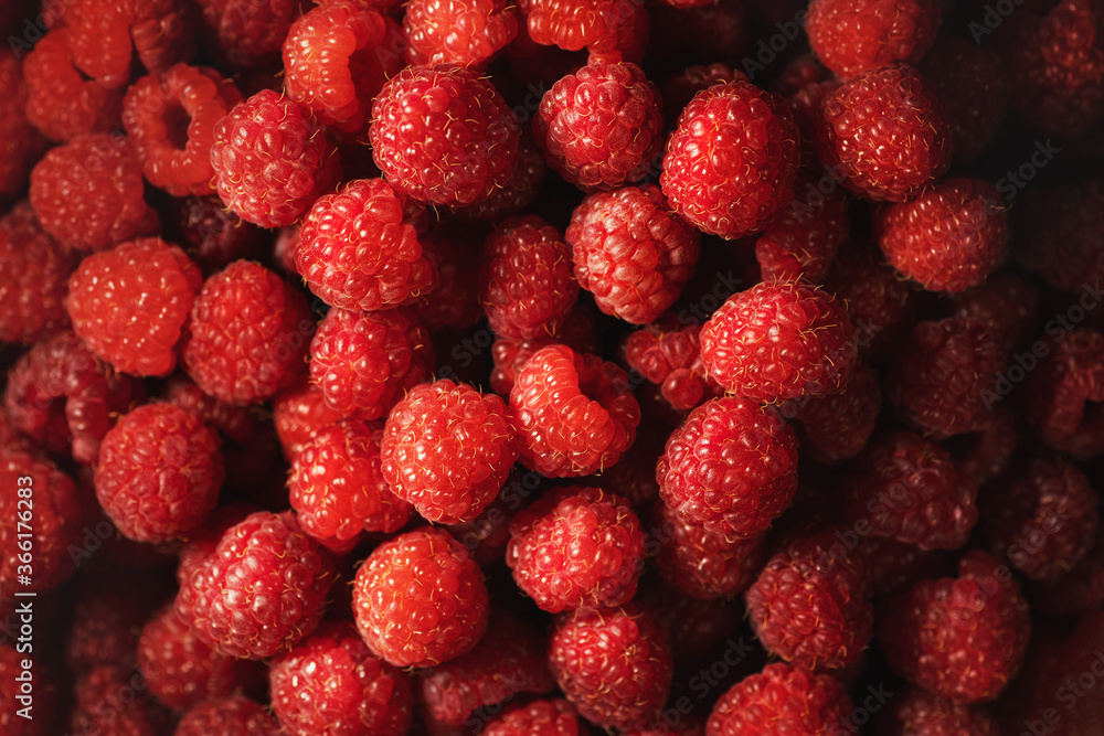 Fresh and sweet organic raspberries background, top view. Fresh and sweet organic raspberries background, top view.