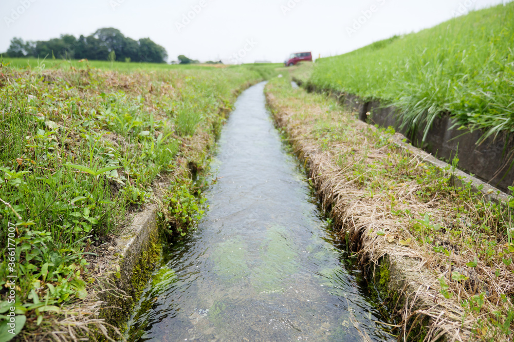 田園を通る農業用水路