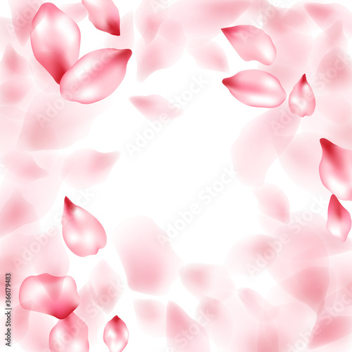 Pink sakura flower flying petals isolated on white vector background.