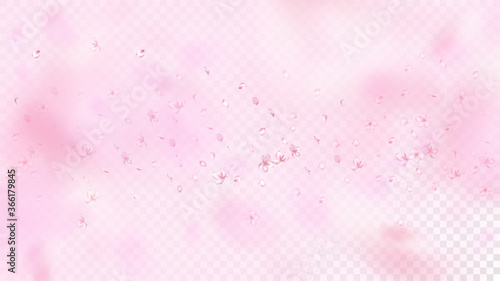Nice Sakura Blossom Isolated Vector. Watercolor Flying 3d Petals Wedding Design. Japanese Blurred Flowers Wallpaper. Valentine, Mother's Day Realistic Nice Sakura Blossom Isolated on Rose