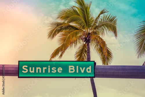 Illuminated road sign above the road with palm tree and dramatic sky. Summer tropic concept © marchello74